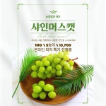 믿고 먹는 꿀맛 고당도 샤인머스켓 실속형 1kg 2수 산지 당일수확 선물용 제철과일 : 대간