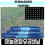 마늘 양파 멀칭 유공 비닐 0.015 X 120cm X 200m 비니루 : 한양농업마트
