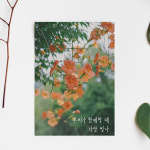 한마디 애플데이 주문제작 엽서 100매 위클래스 캐릭터 사진 심플 감성 : 한마디.com