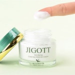 지고트 웰빙 녹차 스킨 케어 3종 세트 : 스킨나인코스메틱