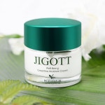 지고트 웰빙 녹차 스킨 케어 3종 세트 : 스킨나인코스메틱