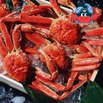 러시아 대게 홀라운드 스노우크랩 수입 냉동 자숙 박달 대게 : 바다선장