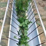 염소먹이통 염소 송아지 먹이 사료 여물 농장 목장 축사 통 농업용 양 돼지 우스어스 : 우쯔몰