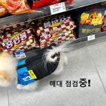 강아지명품옷 뭉미샵 CS편의점 조끼 패딩 포메라니안옷 비숑옷 S : 뭉미샵