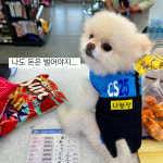 강아지명품옷 뭉미샵 CS편의점 조끼 패딩 포메라니안옷 비숑옷 S : 뭉미샵