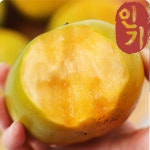 태추감 태추단감 배단감 배감 창원 10월 : 바이리브-