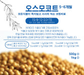 수입 코팅비료 오스모코트 친환경 안전한 식물영양제 500그램 (6개월 지속) : 청양 삼인농장