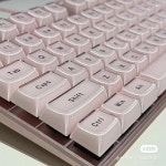 기계식 키보드 반투명 젤리 키캡, 핑크 116 키 레이아웃, OEM 프로필, 화이트 DIY 블랙 백라이트 크리스탈 엣지 : 행복사랑마켓1