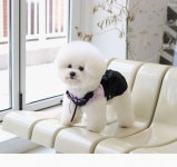 화이트선데이 앙쥬히꼬미 : 화이트 선데이