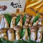 봉화 자연산 송이버섯 능이버섯 국내산 자연 송이 : 더함에스티