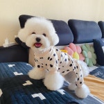 잠옷바나나 펫클래스 강아지봄옷 애견실내복 반려견잠옷 강아지올인원 애견올인원 : 펫 클래스