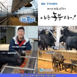 (국산염소) 그린팜 녹용 담은 흑염소진액(90ml x 30포) 2700ml, 4개 : 그린팜흑염소
