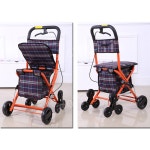 어르신 노인 할머니 접이식 안전 보행보조기 장바구니 구루마 : 대한글로벌종합상사