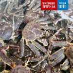 러시아 활 킹크랩 레드 블루 브라운 시세 싯가 집들이 홈파티 캠핑 음식 영덕대게센타42호 : 노가수산