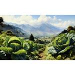 배추 김치 농장 밭 식당 반찬 자연 건강한 식단 파르텔 벽지 시트지 롤스크린 : 으뜸데코