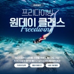 대전 프리다이빙 체험 // 원데이 클래스 : 자유물질