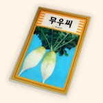 무모종 무우씨 씨앗 무우모종 무씨 교재용 꽃씨500 : 수담 스토어