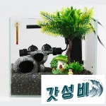 버섯마을 구피 (25 직) : 동해소리