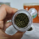 산들가 원기2호 고춧잎 환 고추잎 정 1통 : 아람송이