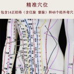 한의원 마네킹 침술 모형 해부학 수지침 한의학 모형 : 아무튼 직구