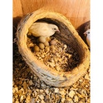 닭 둥지 메추리 볏짚 알 둥우리 새 닭장 애완닭 청계집 : 카우원제로