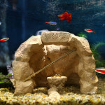 세라믹 공예 물고기 탱크 조경 장식 대피소 구멍 앵무새 시클리드 집 침몰 바닥 잠수정 품 : 더아이니