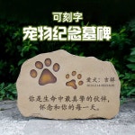 반려동물 비석 강아지 고양이 추모비 펫장례 : 엠엔제이10