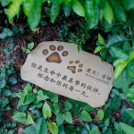 반려동물 비석 강아지 고양이 추모비 펫장례 : 엠엔제이10