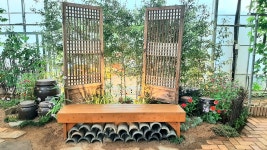 오죽 분  검정 대나무 2M : 마디팜