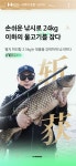 한딩낚시용품 | 한딩낚시 한딩1호 L, M 汉鼎一号 2.7m~8.1m 민물낚시대 향어 붕어 민장대 : 한딩피싱