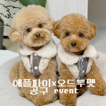[오드투펫]  x [애플파이] 무스탕/자켓/트렌치코트 공구 : 오드투펫