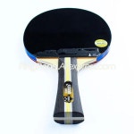 DHS 지널 탁구 라켓 3002 3006, PF4 고무, 3 스타 H3002 H3006 탁구 배트, 라운드 케이스 포함 : 넷플러스원