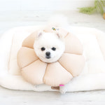포근한 패리스독 강아지 애견 고양이 꿀잠 넥카라 쿠션 도넛 UFO 튜브 꽃 넥카라 깔때기 : 온리웰