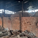 두번구운 라오스비장탄 참숯 7kg : 숯검뎅이