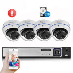 CCTV 홈캠 매장 가정용 현관 방범용 NVR 방폭 오디오, IP 카메라, 얼굴 감지 감시 키트, H.265, 5MP, 2592X1944 : 데2즈