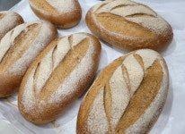 유기농 프리미엄 통호밀 바게트빵 420-450g Organic Premium Whole Rye Baguette Bread 420-450g : 멜니짜