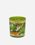 돌체앤가바나 Dolce & Gabbana 향초 캔들 - 시칠리아 오렌지 / 머스크 로즈 / 레몬 [관부가세 포함] : 아꼬떼파리
