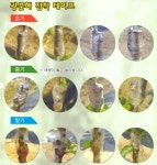 묘목단지 사용 한농 광분해 점착식 접목테이프/ 접목용품 등 : ThinkTree Lab