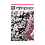 갑조네 호랑이콩 씨앗 강낭콩씨앗 호랑이넝쿨강낭콩씨앗 호랑이강낭콩 베란다 텃밭 주말농장 호랑이콩키우기 : 갑조네