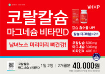 20% 칼마디 코랄칼슘 마그네슘 비타민D 칼슘영양제(약2달분 3개) : 메디팜압구정비타민