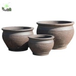 베란다 대형 화훼단지 거실 테라스 야외 화분 가든 : HILLZO-LYU