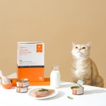 조공 필로 캣 닭&산양유 고양이캔 주식캔 습식캔 (90g) : 조공