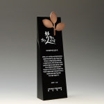 크리스탈상패 잎사귀 삼각지지대 임명패 퇴직 재직 감사패 기념패 상패 DT-1224 : the 드림상패