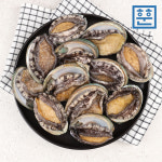 산지직송 완도 활전복 1kg 산소포장 1박스 참전복 : 훈훈수산