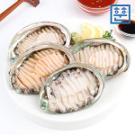 산지직송 완도 활전복 1kg 산소포장 1박스 참전복 : 훈훈수산