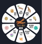 미애부 어뉴엠 국내산 홍삼6년근 산담은 맑을청 120정 : 뷰티풀엠