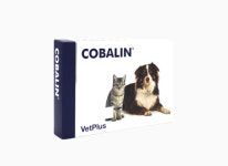 코발린(COBALIN) 반려동물 코발라민 엽산 보충제 (비타민 B12, B9 보충제) : 펫메디몰
