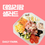 (데일리팜)부산,양산,김해 샐러드 정기배송 30회권 : 데일리팜 샐러드