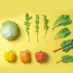 친환경 샐러드 정기배송 식단 구독 배달 야채 배송 혼합5종 파프리카루꼴라비타민아삭어린잎 : 얌쿡 맛있는 다이어트 식단