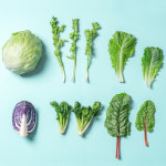 친환경 샐러드 정기배송 식단 구독 배달 야채 배송 혼합5종 파프리카루꼴라비타민아삭어린잎 : 얌쿡 맛있는 다이어트 식단